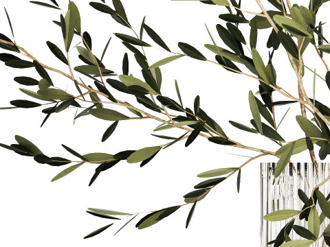 Bouquet in a glass vase of olive branches 509 3D मॉडल