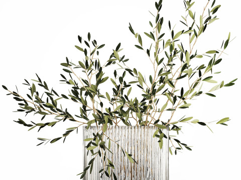 Bouquet in a glass vase of olive branches 509 3D मॉडल