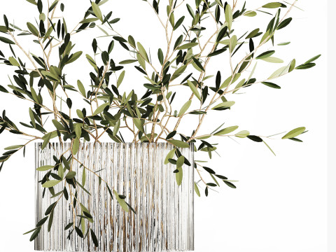 Bouquet in a glass vase of olive branches 509 3D मॉडल