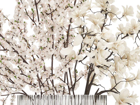 Bouquet Sakura Branches Cherry Blossom Magnolia 510 3D Model