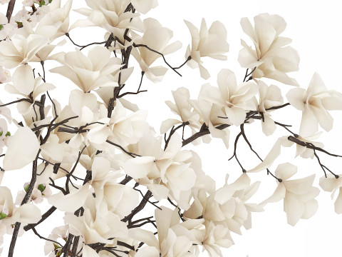 Bouquet Sakura Branches Cherry Blossom Magnolia 510 3D 모델