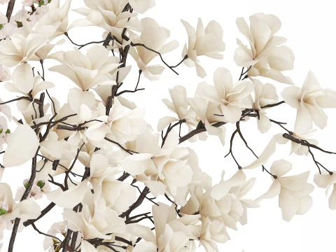 Bouquet Sakura Branches Cherry Blossom Magnolia 510 3D Model
