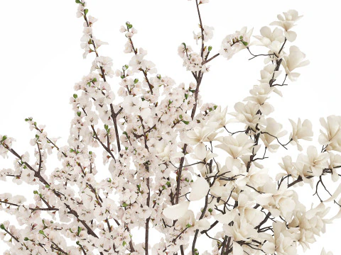 Bouquet Sakura Branches Cherry Blossom Magnolia 510 3D Model