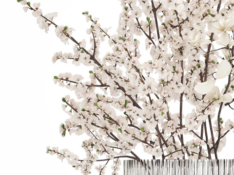 Bouquet Sakura Branches Cherry Blossom Magnolia 510 3D Model