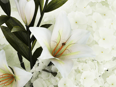 Bouquet Di Fiori Vaso Di Gigli Di Ortensie 511 Modello 3D