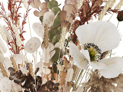 Bouquet Dried Flowers Hydrangea Pampas Poppy Wheat 512 3D Model