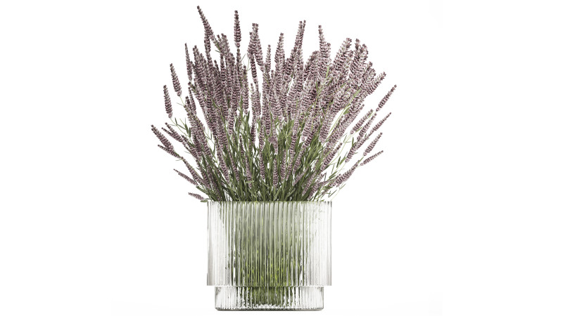 Bouquet Of Wild Flowers With Lavender Sage 513 3Dモデル .c4d .max .obj .3ds .fbx .stl .blend
