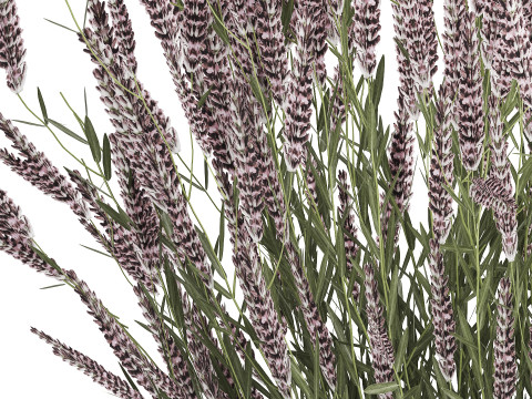 Bouquet Of Wild Flowers With Lavender Sage 513 3Dモデル