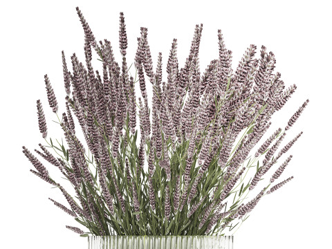 Bouquet Of Wild Flowers With Lavender Sage 513 3Dモデル
