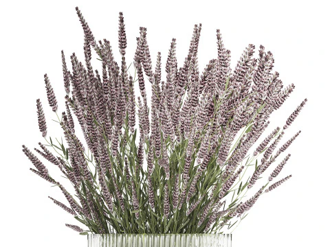 Bouquet Of Wild Flowers With Lavender Sage 513 3D Model