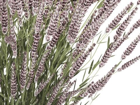 Bouquet Of Wild Flowers With Lavender Sage 513 3Dモデル
