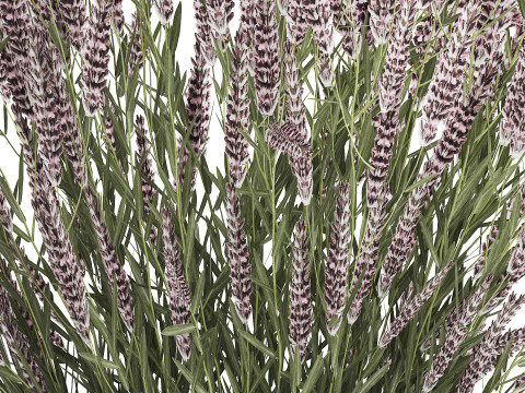 Bouquet Of Wild Flowers With Lavender Sage 513 3Dモデル