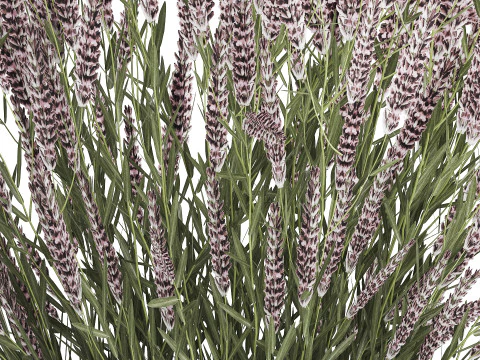 Bouquet Of Wild Flowers With Lavender Sage 513 3D Model
