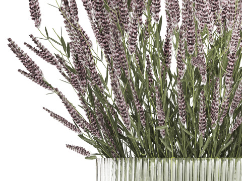 Bouquet Of Wild Flowers With Lavender Sage 513 3Dモデル