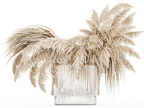 Bouquet of dried flowers cortaderia pampas reed 514 3D Model