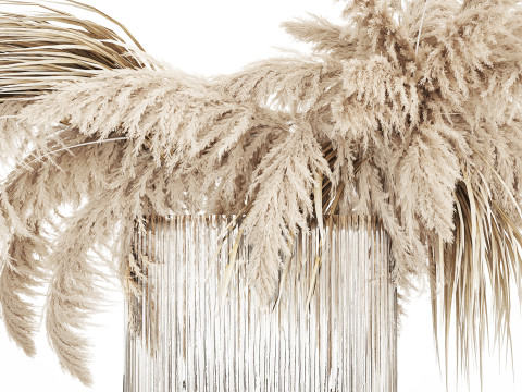 Bouquet of dried flowers cortaderia pampas reed 514 3D मॉडल