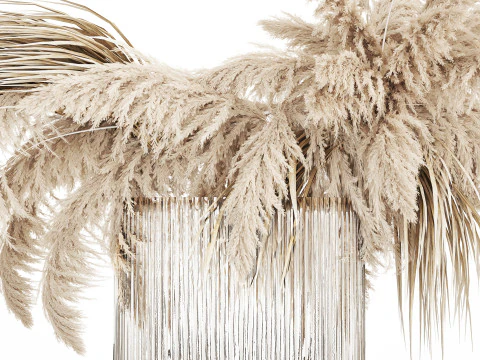 Bouquet of dried flowers cortaderia pampas reed 514 3D Model