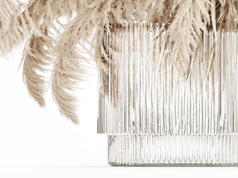 Bouquet of dried flowers cortaderia pampas reed 514 3D मॉडल