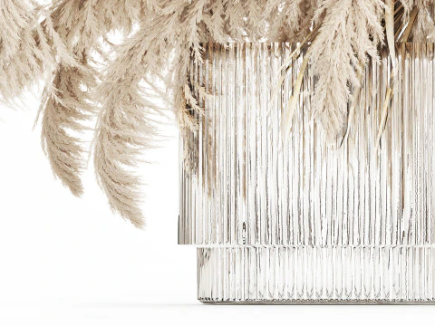 Bouquet of dried flowers cortaderia pampas reed 514 3D Model