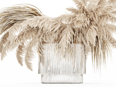 Bouquet of dried flowers cortaderia pampas reed 514 3D मॉडल