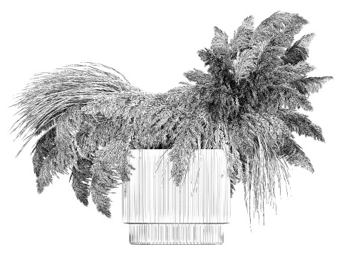 Bouquet of dried flowers cortaderia pampas reed 514 3D Model
