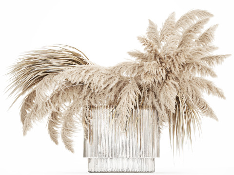 Bouquet of dried flowers cortaderia pampas reed 514 3D मॉडल