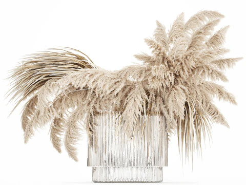 Bouquet of dried flowers cortaderia pampas reed 514 3D Model