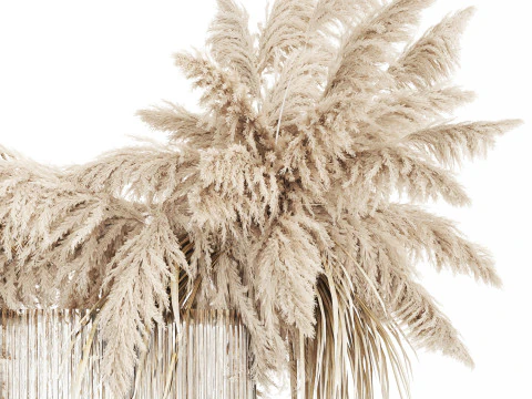 Bouquet of dried flowers cortaderia pampas reed 514 3D Model