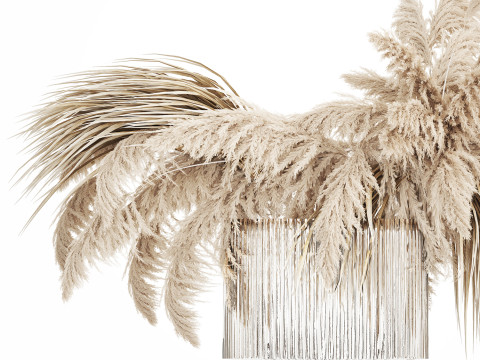 Bouquet of dried flowers cortaderia pampas reed 514 3D मॉडल