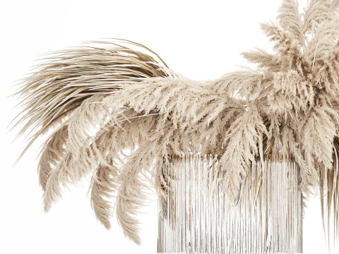 Bouquet of dried flowers cortaderia pampas reed 514 3D Model