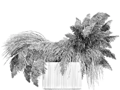 Bouquet of dried flowers cortaderia pampas reed 514 3D Model
