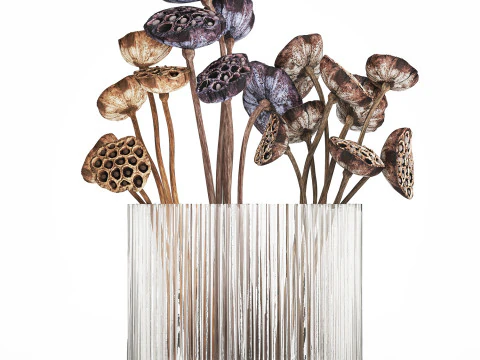 Bouquet of dried flowers with lotus branches 515 3D Model