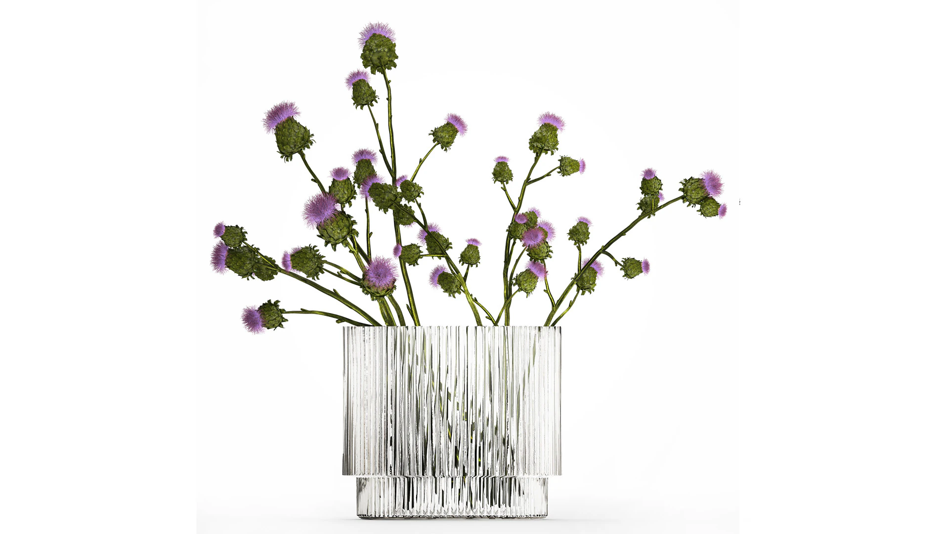Green Bouquet Of Dried Flowers Thistle thorns 516 3D Model .c4d .max .obj .3ds .fbx .stl .blend 