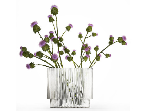Green Bouquet Of Dried Flowers Thistle thorns 516 3D Model