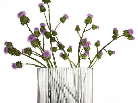 Green Bouquet Of Dried Flowers Thistle thorns 516 3D Model
