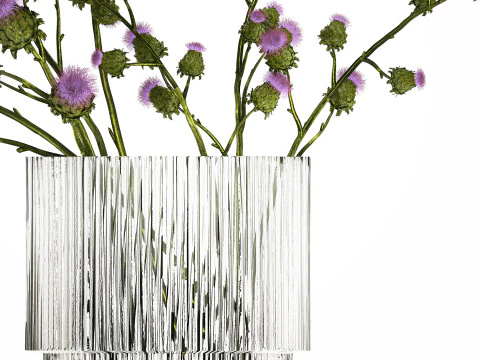Green Bouquet Of Dried Flowers Thistle thorns 516 3D Model