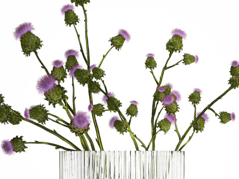 Green Bouquet Of Dried Flowers Thistle thorns 516 3D Model