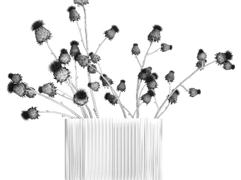 Green Bouquet Of Dried Flowers Thistle thorns 516 3D Model