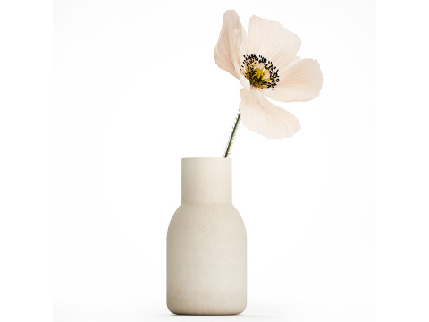 Bouquet Of Beautiful Wild Flower Icelandic Poppy 517 3D Model