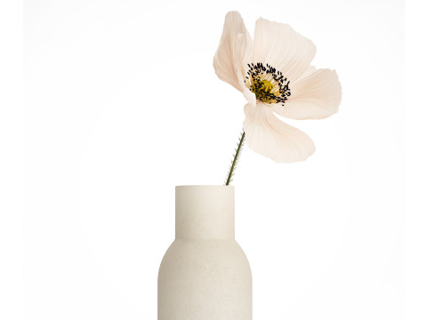 Bouquet Of Beautiful Wild Flower Icelandic Poppy 517 Model 3D