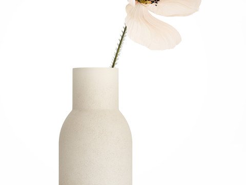 Bouquet Of Beautiful Wild Flower Icelandic Poppy 517 Model 3D