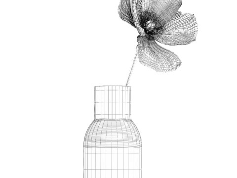 Bouquet Of Beautiful Wild Flower Icelandic Poppy 517 Model 3D