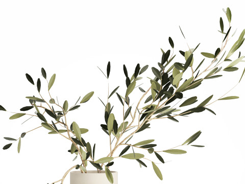 Small Minimalistic Bouquet Vase Olive Branches 518 3D Модель