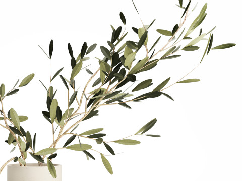 Small Minimalistic Bouquet Vase Olive Branches 518 3D Модель