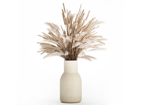 Bouquet Of Dried Flowers Pampas Branches Reed 519 3D Model