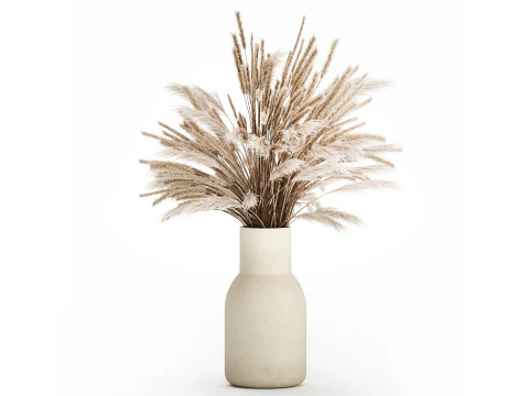 Bouquet De Fleurs S&eacute;ch&eacute;es Branches De Pampa Roseau 519 Modèle 3D