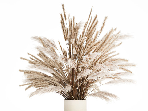 Bouquet Of Dried Flowers Pampas Branches Reed 519 3D Model