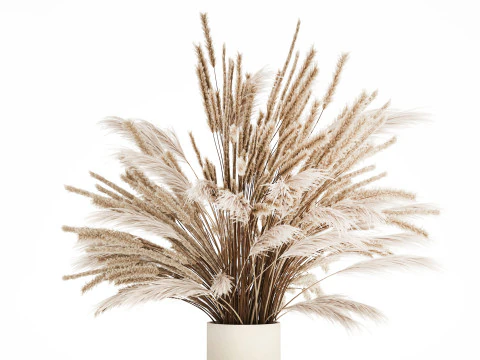 Bouquet Of Dried Flowers Pampas Branches Reed 519 3D Model
