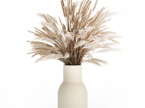 Bouquet Of Dried Flowers Pampas Branches Reed 519 3D Model
