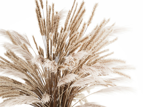 Bouquet Of Dried Flowers Pampas Branches Reed 519 3D Model